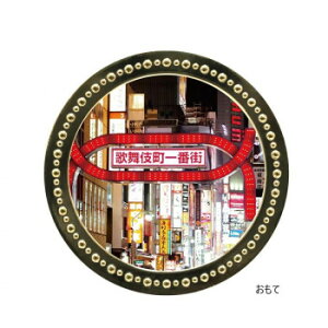 zNV ό^}[J[ Vh̕꒬ MK0395