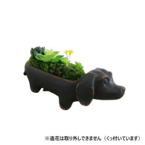 �u�� �� �_�b�N�X�t���h �A�����W�t�����[ 1512TWO001