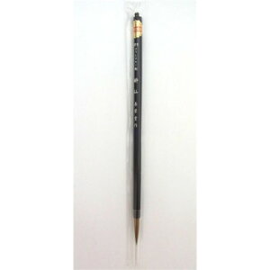 16150@h@(ԍ)@Eȏ𕝗pM@ōC^`