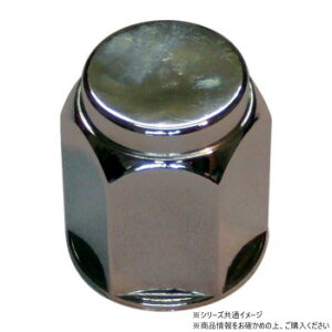 `bvgbv gbNpibgLbv8 NCP41R-8P