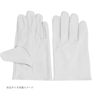 쏤 G[X ؃NXg Xg[g^Cv LLTCY AG560