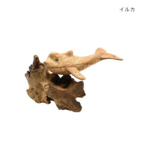 Öؖؒ CJ 10225806042