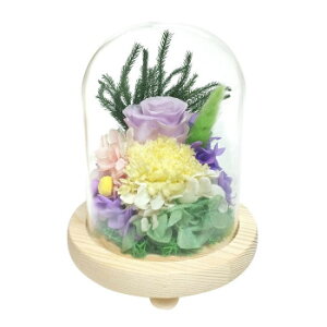 p()@KXh[AWg@vU[uht[@^(܂)@x_[@C37020