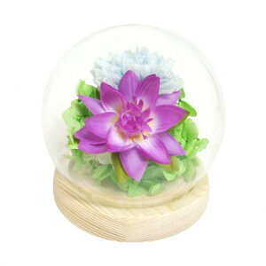 p()@lGXtBA@vU[uht[@@nX@C38307