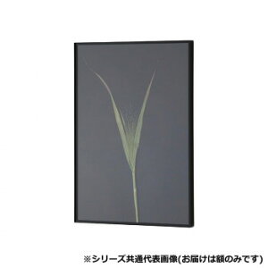 Ai@UVAN RIM@}bgubN@A1 16721