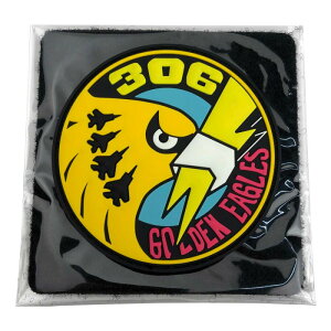 \tgby 306s() KBSW23011