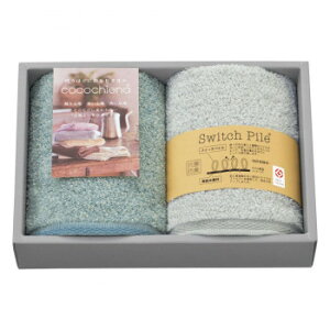 cocochiena RR`GiII ^IMtg EHbV^I×2 B CE-1281