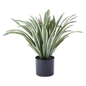 J tFCNO[ AKx O[ GRN-13