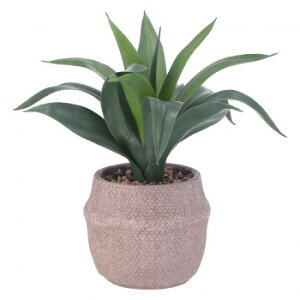 不二貿易 (C/D:41135) フェイクグリーン アガベ セメントポット