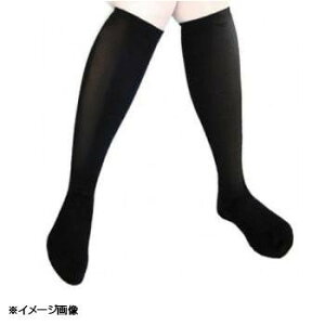 {q p\bNXfBt@[DVT SubN 19.5cm`22cm 1 2221