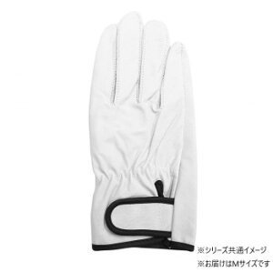 쏤 G[X ؃NXg }WbNe[v Aet MTCY AG523