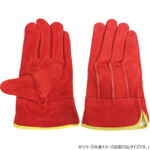 쏤 G[X v ICH OD  鐝 LTCY AG4815