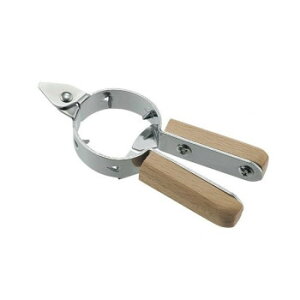  SALUS CtI ybg{gI[vi[