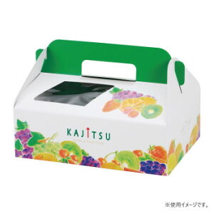 }jpbP[W ʎp_CX 200 L-2205