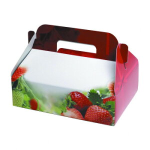 }jpbP[W Xgx[p_CX 1P 300 L-2270