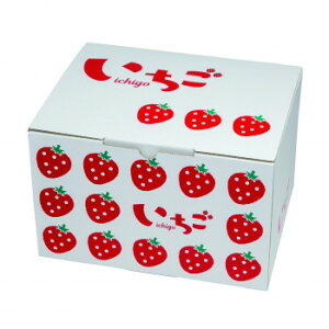 }jpbP[W CXg300g 4P 2iBOX 50 L-2502