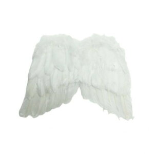 RX`[@RXvߑ@d@Vg̉H @@zCg