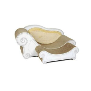 �J���J���[�i�@Luce �X�c�[���Z�b�g�@�I�����W�C�G���[�@�O�����O����