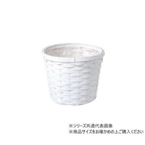 �勴�V�����X �o�C�X�v�����^�[D6 25-626