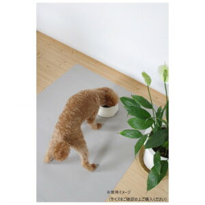 RtB }`V[g(ybgp) { 57×80cm O[