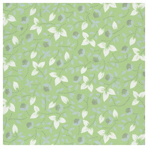 @tB[lO[@lZS 100 XZK00079