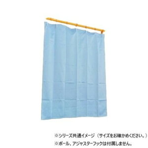 �J�[�e�� �}�����N�� 100X198 B 572001100198045