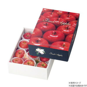 }jpbP[W tbVȂ  30 L-2058