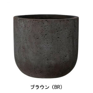 O[|bg Aؔ bJ[ U|bg uE 40cm AN-RU4043BR