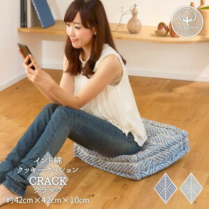 zc NbV  ` u p 100  ֎q  rO ԂƂ ʋC ւȂ p lp  傫 _炩 qp _ Ǐ {  킢 