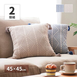 NbV \t@[ w  傫  45×45 lp \t@ 2g Zbg ӂӂ 肩  킢 Ԃ Ǐ 炩 Q xbh _炩   ֎q 