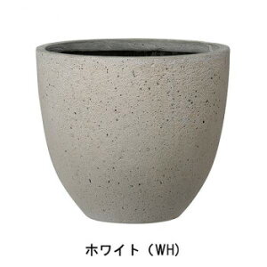 O[|bg Aؔ bJ[ Eh zCg 42cm AN-RR4236WH