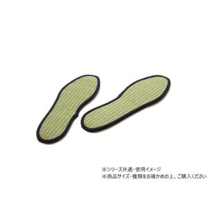 �����C���\�[�� 20cm �l�C�r�[ 1120290190411