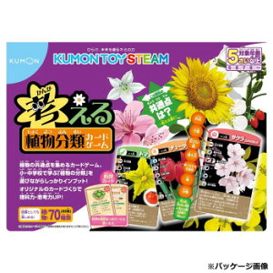 KUMON  lAރJ[hQ[ TS-40