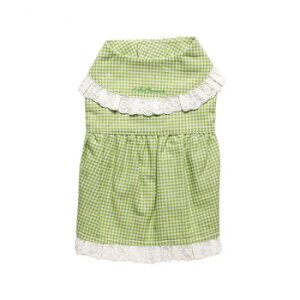 ybgpi hbOEFA `FbNs[X Green/O[ STCY DG-CHK04-S