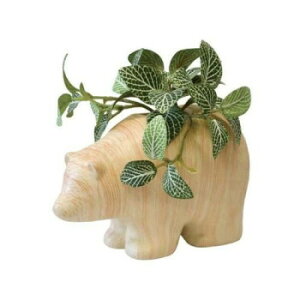 WD|bg Aj} xANA 167556