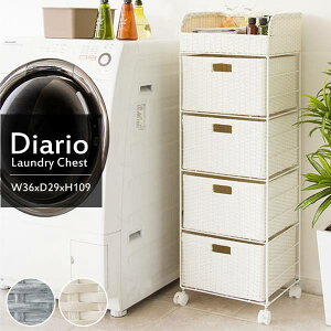 �����h���[�`�F�X�g �`�F�X�g ���s��30 ���^�� ������� ���^ �����h���[���S�� 4�i �����h���[���b�N �^���[ �L���X�^�[ �X���� �Ɩ��p ��