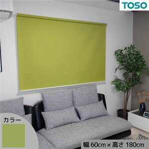 [XN[ Ռ J[e[ [J[e ̌ uCh 60 悯  ډB uChJ[e t ȒP  sv J[e TVF[h   V