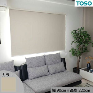 [XN[ Ռ Ւf J[e[ [J[e uCh Ռ1 90 悯  ډB uChJ[e t ȒP  sv J[e TVF[h  