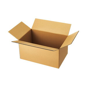 TANOSEE 軽量タイプ宅配用段ボール120-B3 1パック(10枚)