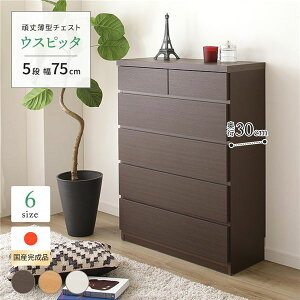 ^X `FXg [ i X ؐ 5i ߗގ[  s30cm ^ 75cm { 傫 e o   [ m _X  gsv l炵 rO 