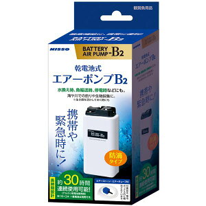 drGA[|v B-2 (Ϗ܋/pi)