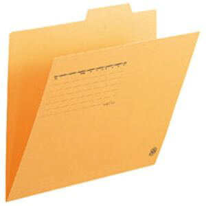 vX ʃtH_[ FL-061IF A4E  100