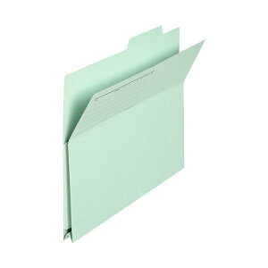 y܂Ƃ߁z vX otH_[ FL-061PF A4E  10 y×2Zbgz