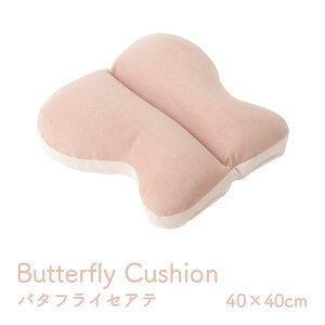 �N�b�V���� ���� ���傤 �o�^�t���C �p�X�e�� �s���N ��40×40cm�y����s�z