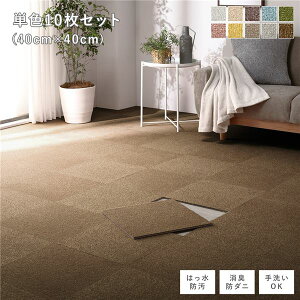 t@ubN tA^C PF10Zbg 40×40cm×10 CguE  h_j h g[Ή 􂦂ysz