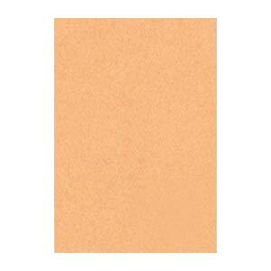 i܂Ƃ߁j ^ j[J[R c 271×c392mm 8NCR-109  100 y×2Zbgz