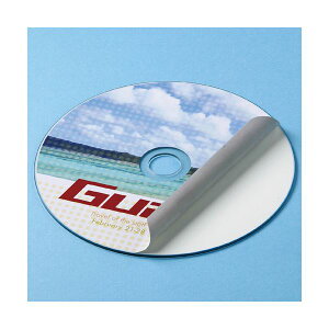 (まとめ)サンワサプライ インクジェット透けないCDラベル(内径24mm・マット) LB-CDR004N【×5セット】