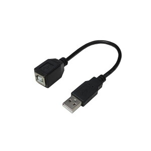 (�܂Ƃ�)�ϊ����l USB�P�[�u��20 A(�I�X) to B(���X) USBAA/BB20�y×10�Z�b�g�z