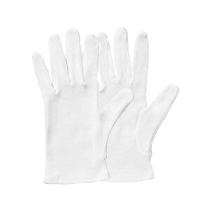 (܂Ƃ) TANOSEE XX }`t L 1pbNi12oj y×10Zbgz