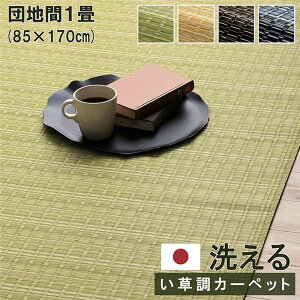 􂦂 J[ybg O }bg cn1 85×170cm lCr[ { Y ۃXv[Ή v  AEghA ybgysz